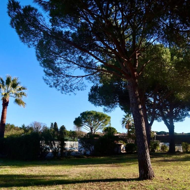 Lora Apartment with Garden & Pool - Apartamento de 1 dormitorio - 13
