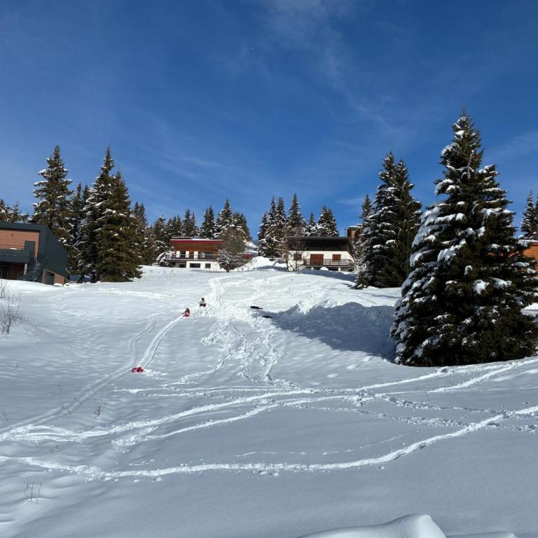 T3 Le recoin CHAMROUSSE 6 personnes - 2 ch - Apartamento de 2 dormitorios - 3