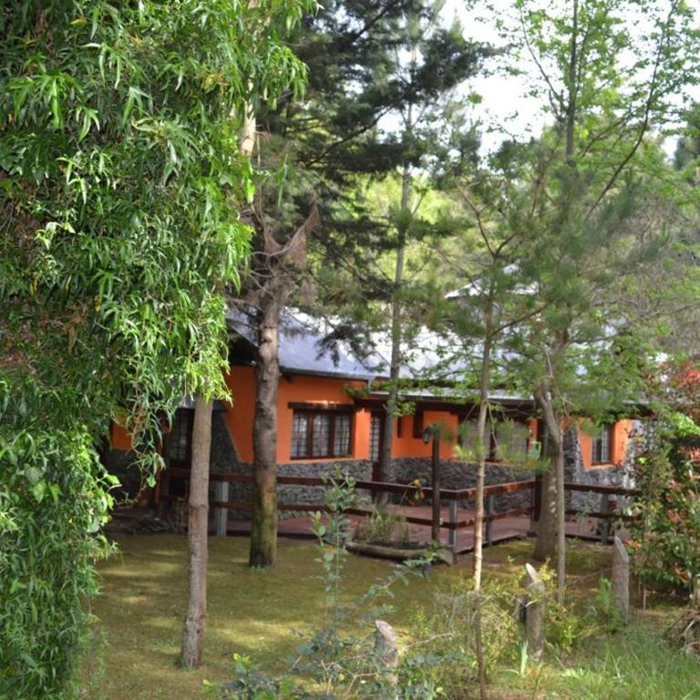Por darme el gusto - Two-Bedroom House - 7
