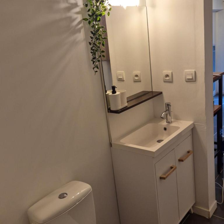 Studio - Museum of Fine Arts - Apartamento de 1 dormitorio - 3