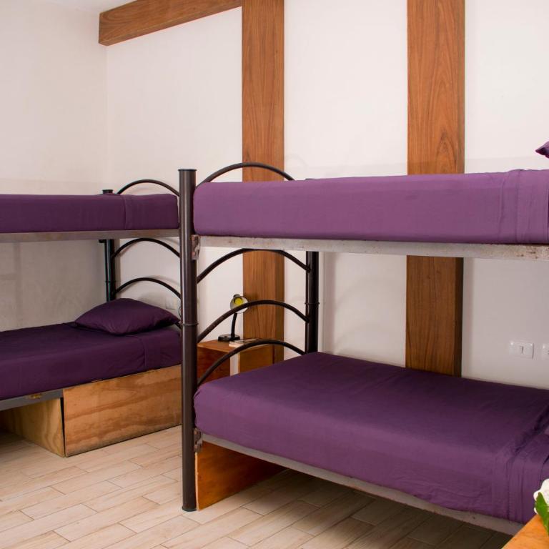 Balu Hotel - Bed in 4-Bed Mixed Dormitory Room - 3