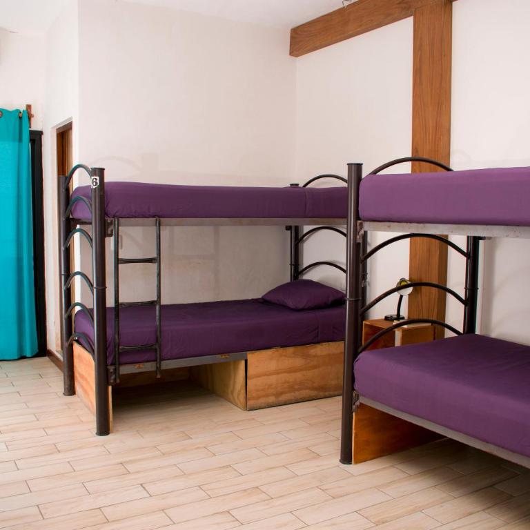 Balu Hotel - Bed in 4-Bed Mixed Dormitory Room - 1