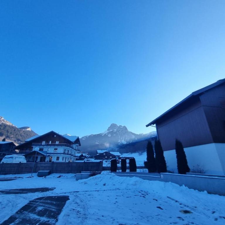 Cœur des neiges - Studio avec Terrasse - 1