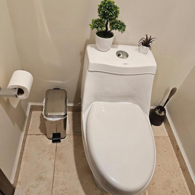 Beautiful apartment in Carso Polanco - One-Bedroom Apartment - 35