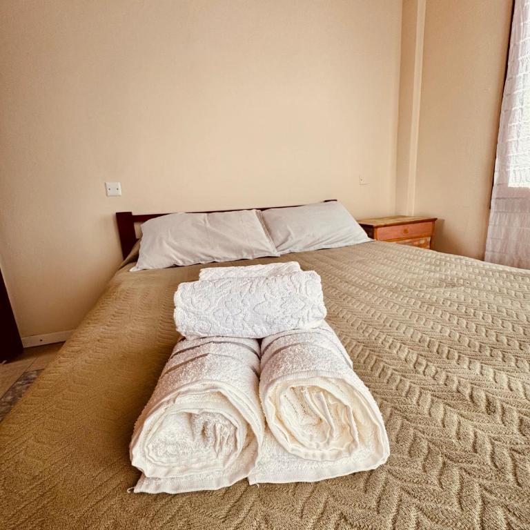 Hospedaje Flores del Sur - Apartamento de 1 dormitorio - 11