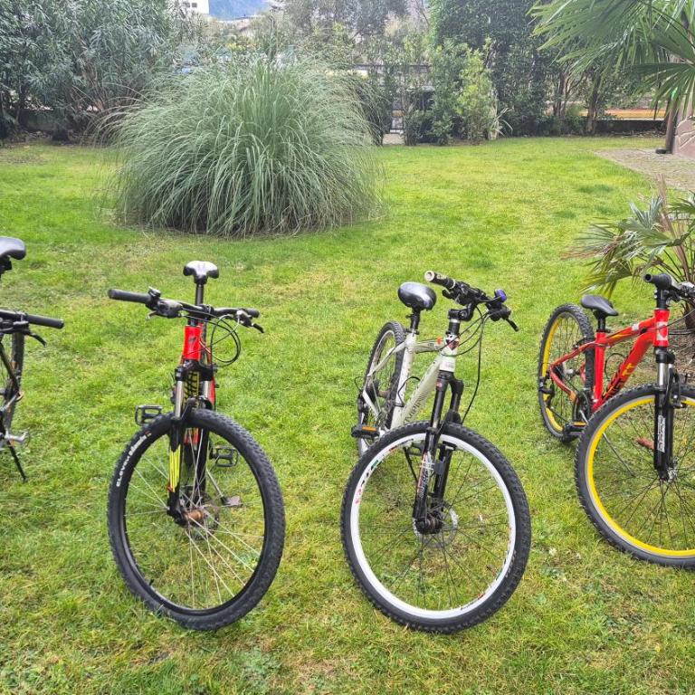 Lake Garda Bike&Hike Apartment - Monolocale con Vista Montagna - 5