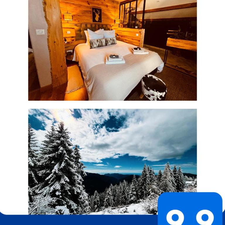 La Cabane de Marie - Appartement 1 Chambre - 3