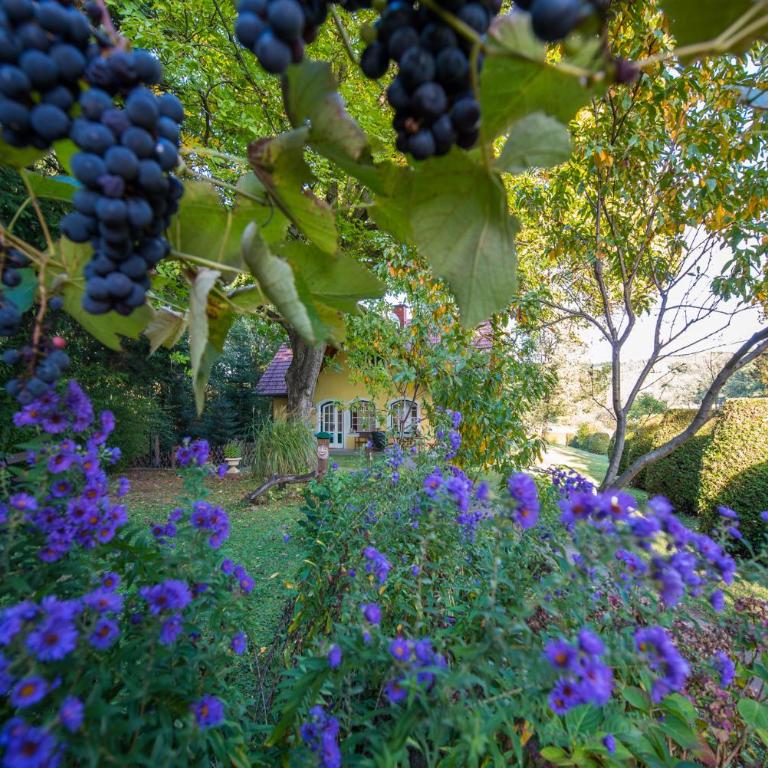 Winemakers Escape - Ferienhaus - 2