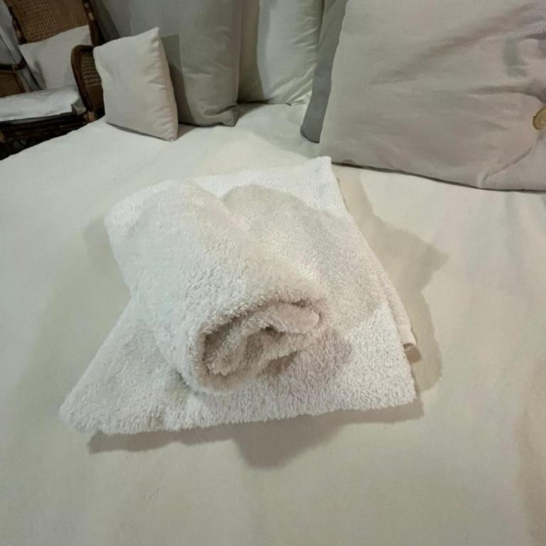 SUITE FAMILIAR EN CENTRO CIUDAD DE MENDOZA COCHERA DISPONiBLE - Suite - 9