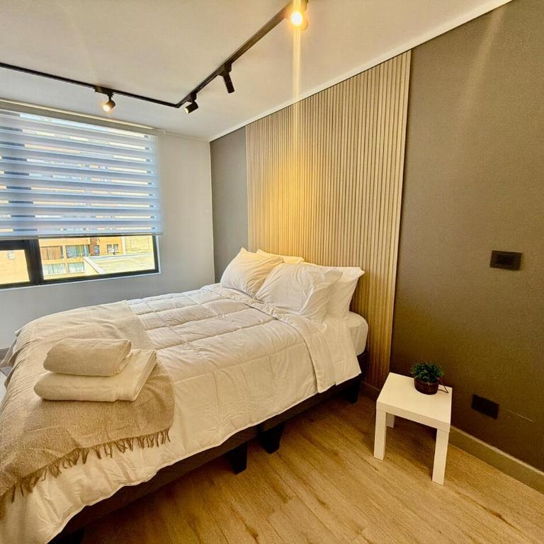 Exclusivo Estudio en Centro Histórico de Santiago - One-Bedroom Apartment - 1