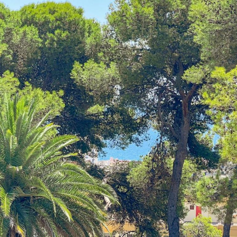 Villa Helecho - Villa con piscina privada - 53