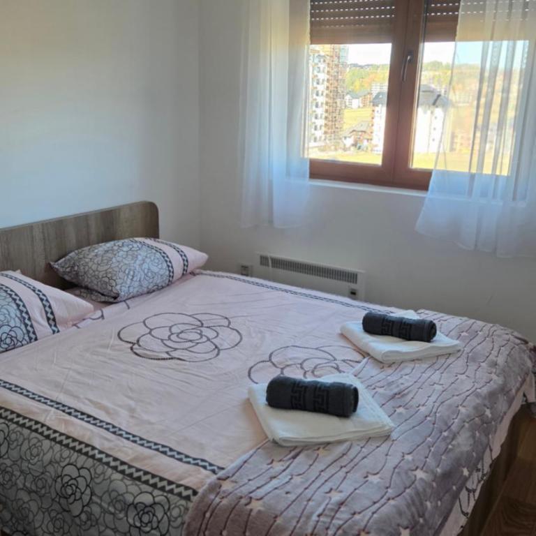 Vila Katalina Zlatibor - Apartman Marijana - Apartman sa 1 Spavaćom Sobom - 1