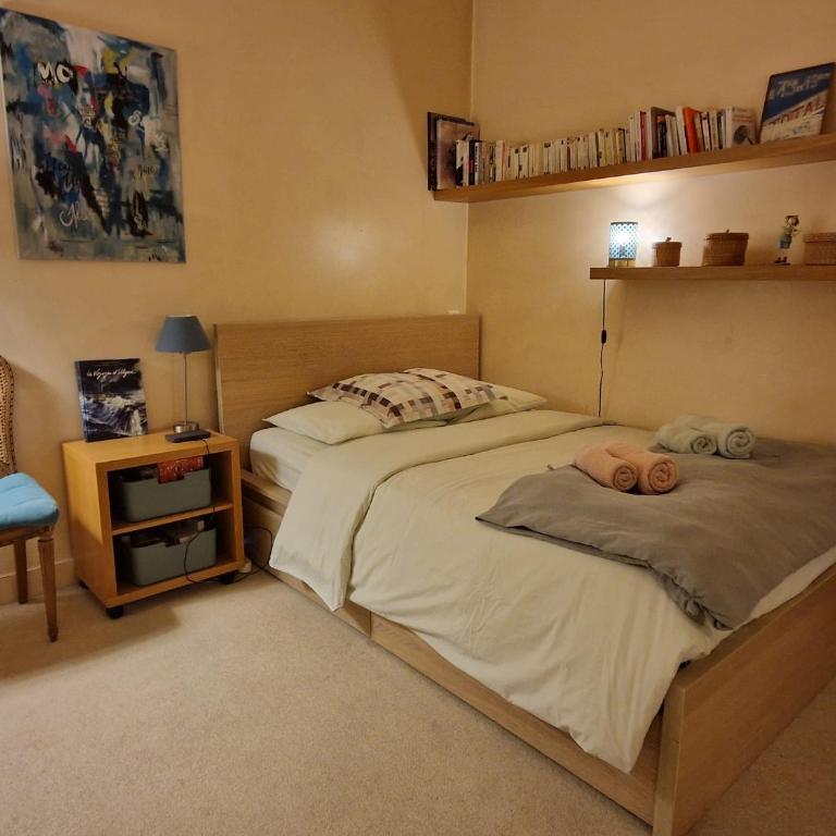 2 Private rooms in an Elegant Haussmannian Appartement - Double Room - 17