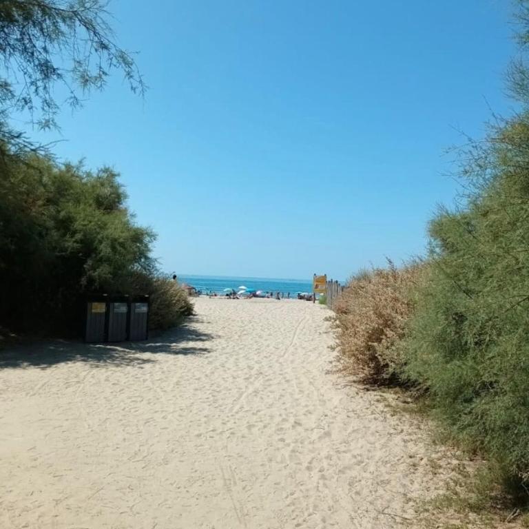 Au Pacific Studio avec jardin à 3 mn des plages - Studio avec Vue sur Jardin - 20