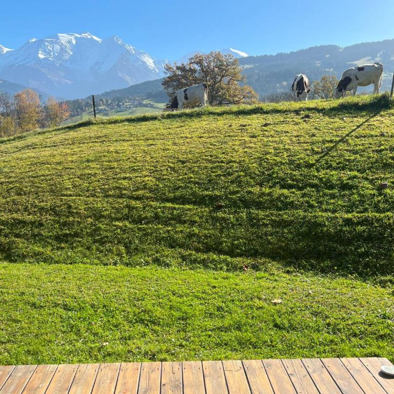 Terrasse du MtBlanc - Appartement avec Vue sur la Montagne - 21