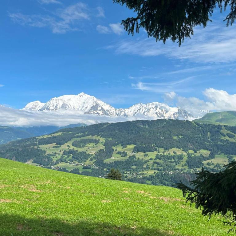 Terrasse du MtBlanc - Appartement avec Vue sur la Montagne - 31