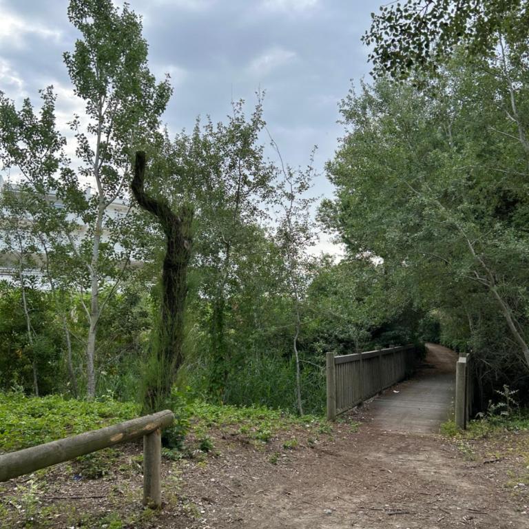Au Pacific Studio avec jardin à 3 mn des plages - Studio avec Vue sur Jardin - 25