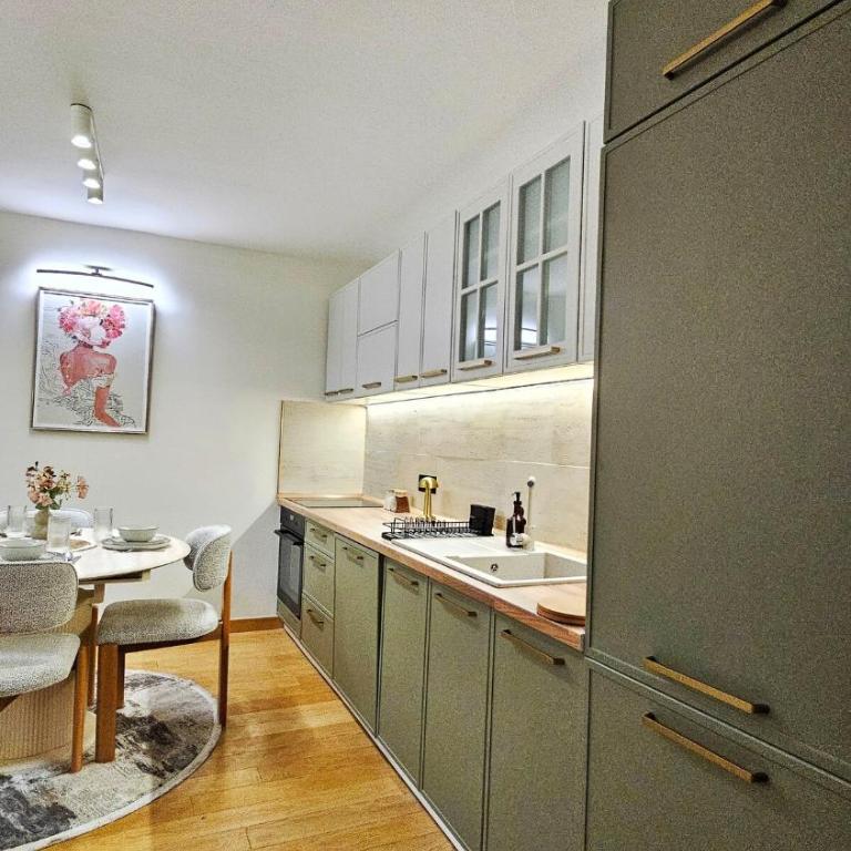 Modern apartment near the center of Novi Sad - One-Bedroom Apartment with City View - 13