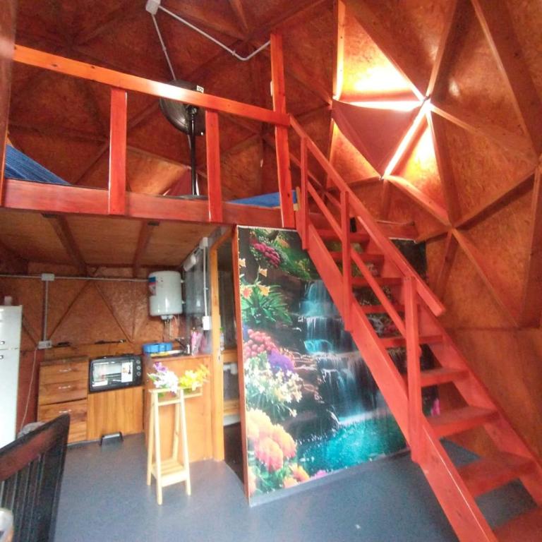 Domo - Apartamento de 1 dormitorio - 5