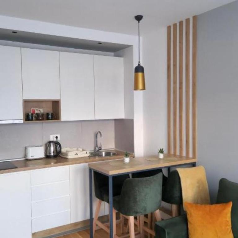 Emerald Mamba - Titova Vila - Apartman sa 1 Spavaćom Sobom - 3