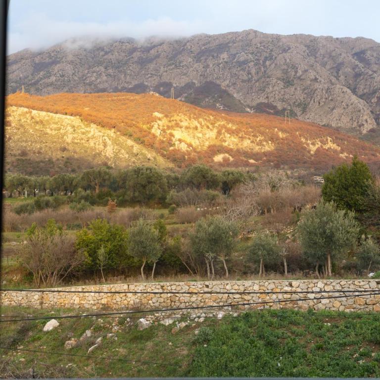 Apartment sea view Asija - Apartman - 59