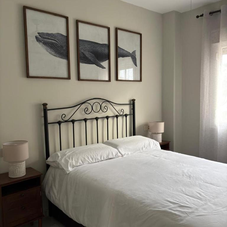 La Alcazaba de Cristina - Apartamento de 2 dormitorios - 25