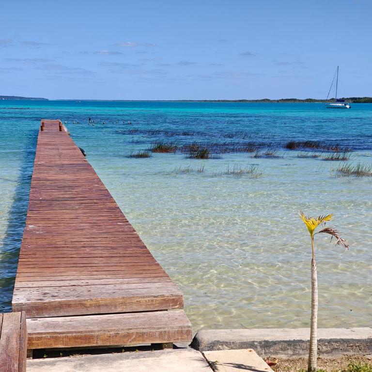Departamentos Blue Bacalar - Apartamento de 1 dormitorio - 30