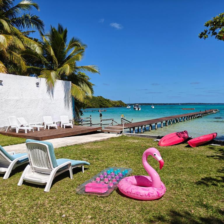 Departamentos Blue Bacalar - Apartamento de 1 dormitorio - 22