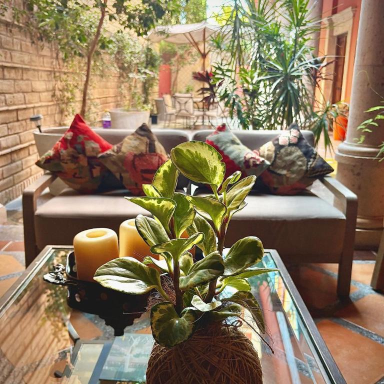 Exclusive Luxury Guest Center House - Casa - 4