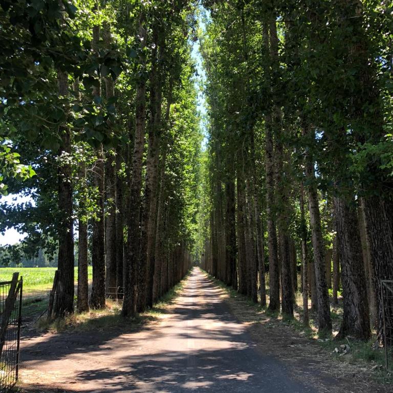 Ayekantun - Two-Bedroom House - 10