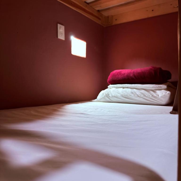 Hostal el Alebrije - Cama en habitación femenina compartida de 4 camas - 4
