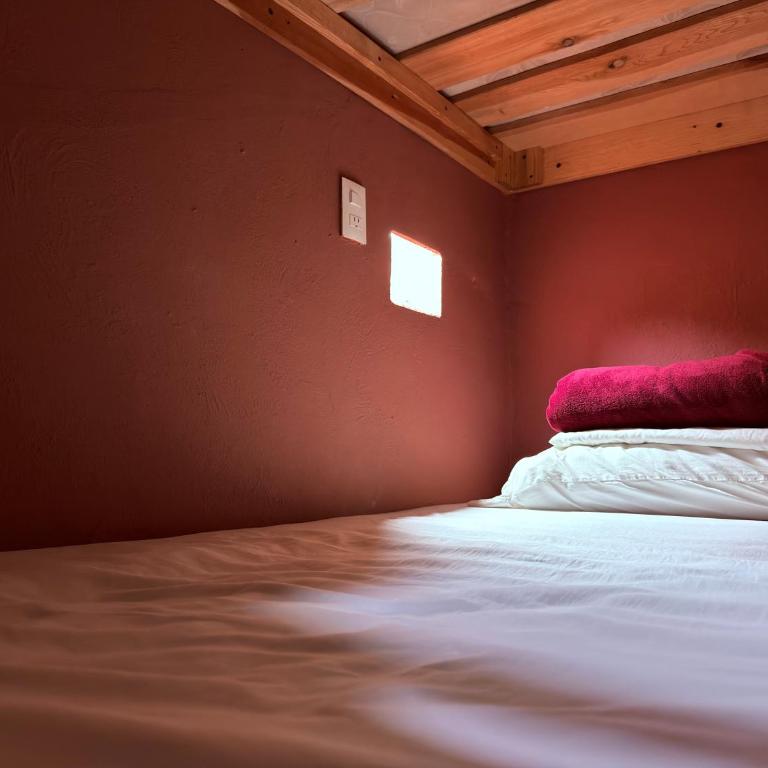 Hostal el Alebrije - Cama en habitación femenina compartida de 4 camas - 2