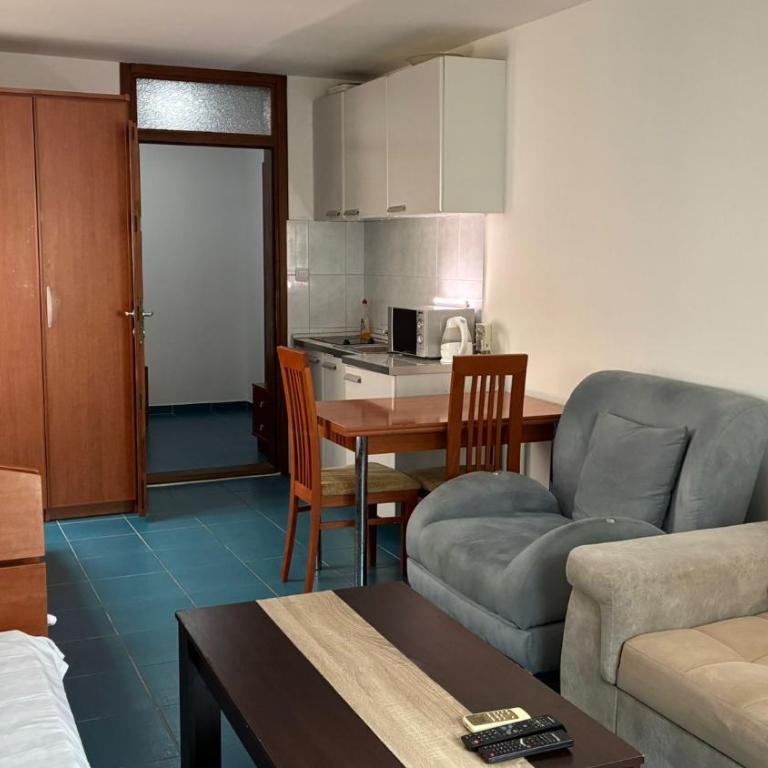 Apart Ludmila - Studio sa Sofom na Izvlačenje - 10