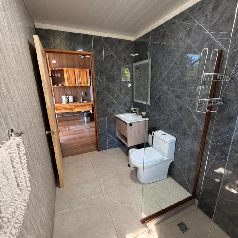 Refugio Climático para 2 personas, campo buena vista, El cerduo, Pucón - One-Bedroom Chalet - 3