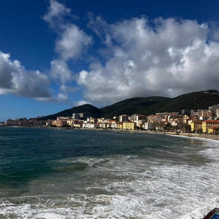 Très bel appartement avec terrasse de 87m2 avec une superbe vue panoramique sur la baie d Ajaccio - Apartment mit 2 Schlafzimmern - 40