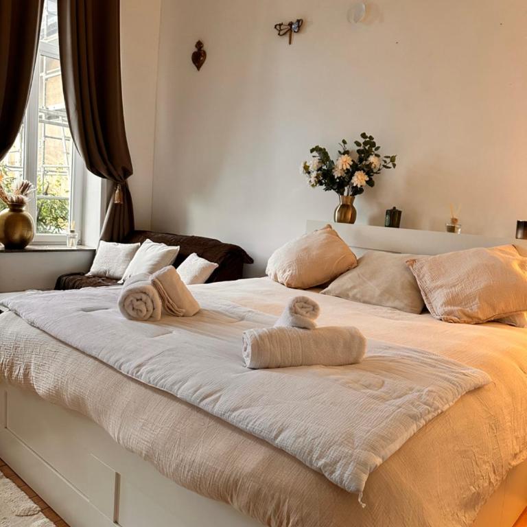 Vue Cathédrale - Au cœur de la vieille ville - Place de parking privé - Appartement 1 Chambre - 2