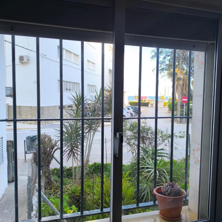 Bajo con vistas al mar - Apartamento de 2 dormitorios - 5