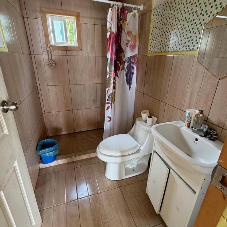 Turismo Los Carbooneros de Pugueñun - Two-Bedroom House - 5