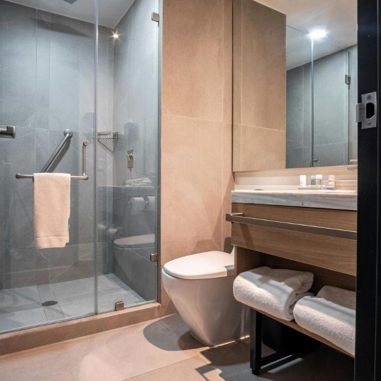 SJ Grand Hotel Monterrey - Standard King Room with City View - 4