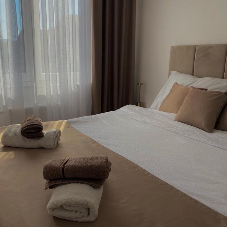 Apartman Blagojević - Apartman sa 2 Spavaće Sobe - 8