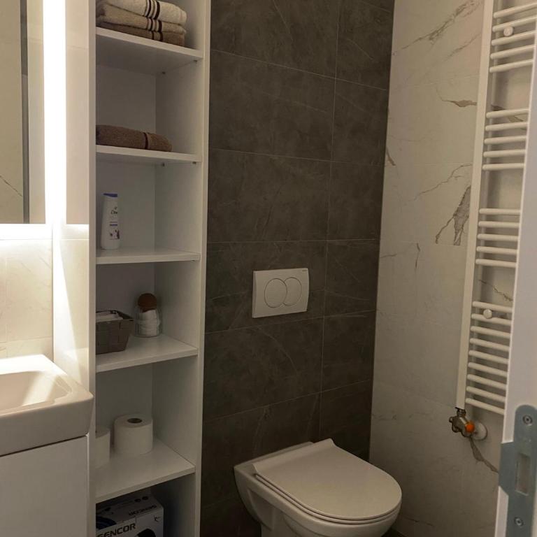 Apartman Blagojević - Apartman sa 2 Spavaće Sobe - 9