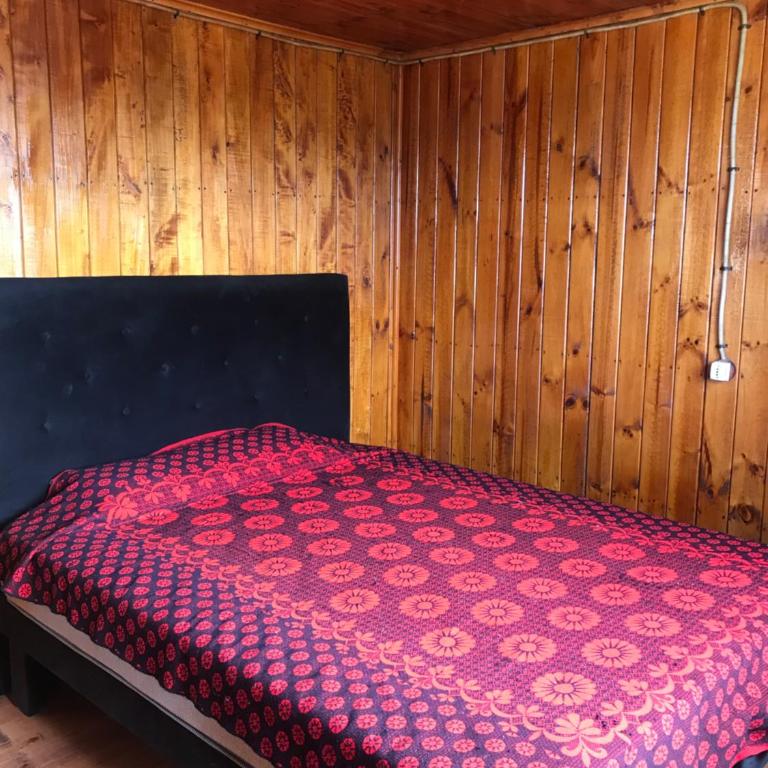 Apartamentos María López - One-Bedroom Apartment - 7