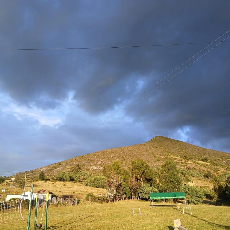 Camping San Francisco - Cabaña, Teepee & Zona de Camping - Parcela - 12