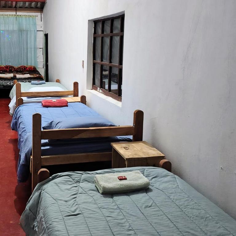 Hostal Mama Julia - Mixed Dormitory Room - 1
