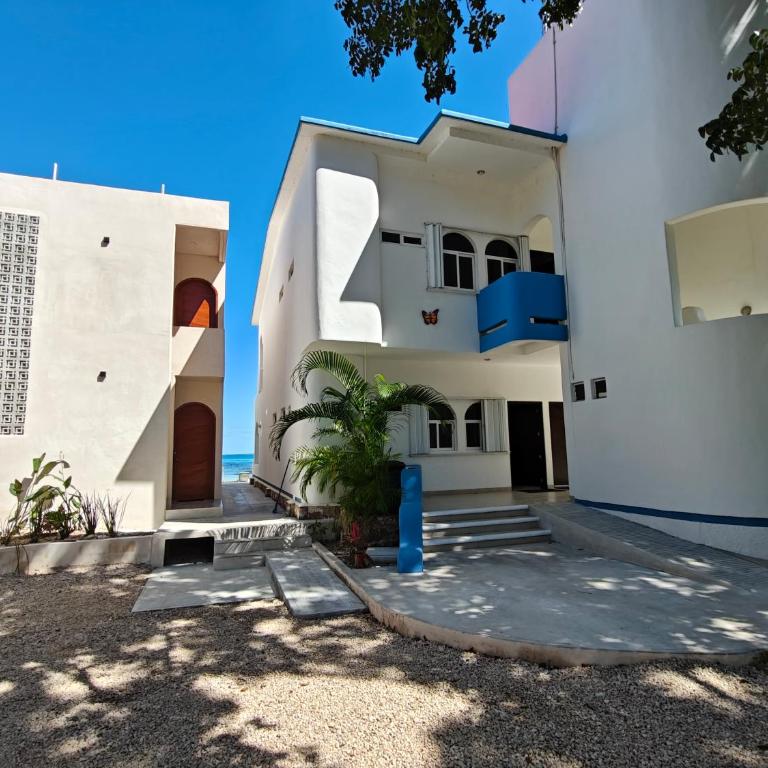 Departamentos blue Turquesa - Apartamento - 2