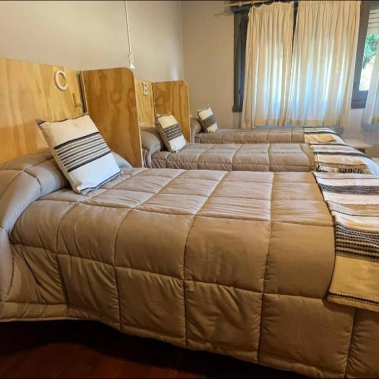 Casa YUCO Hostel - Habitación N1 - Cama individual en habitación compartida - 3