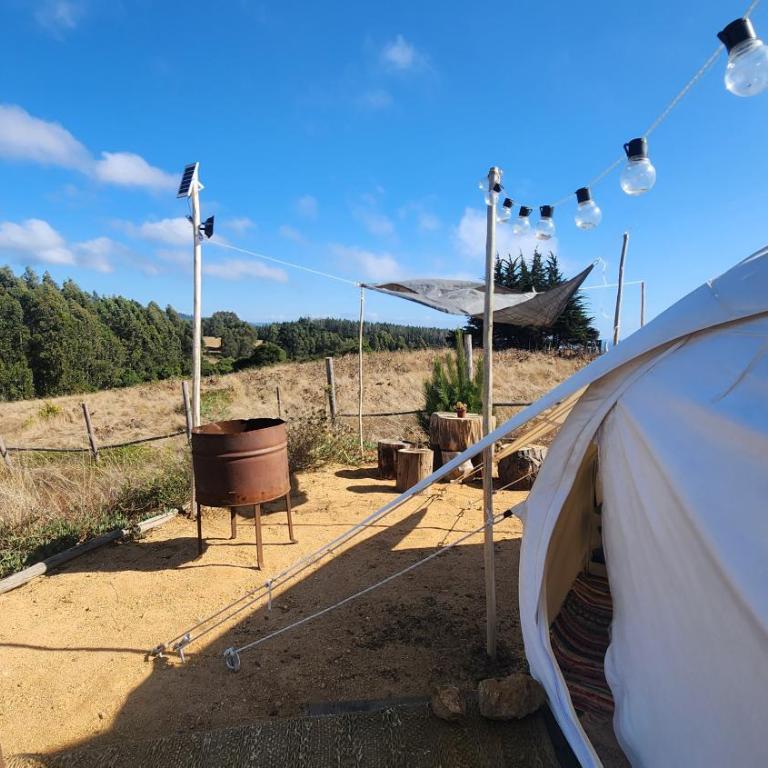 Olas de Chile Ecocamp - Tienda - 8