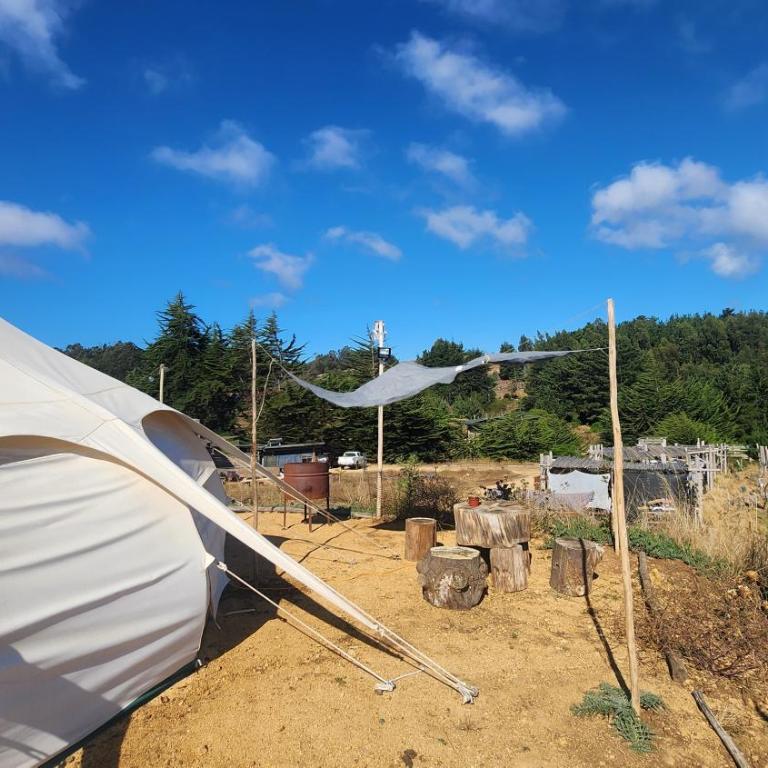 Olas de Chile Ecocamp - Tent - 10