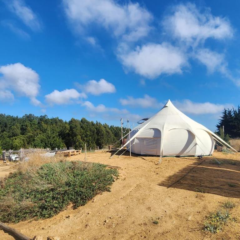 Olas de Chile Ecocamp - Tent - 9