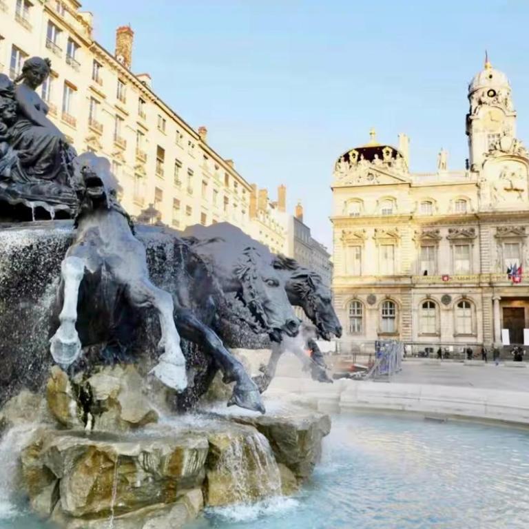 Lyon Prestige République - Apartamento Deluxe - 51